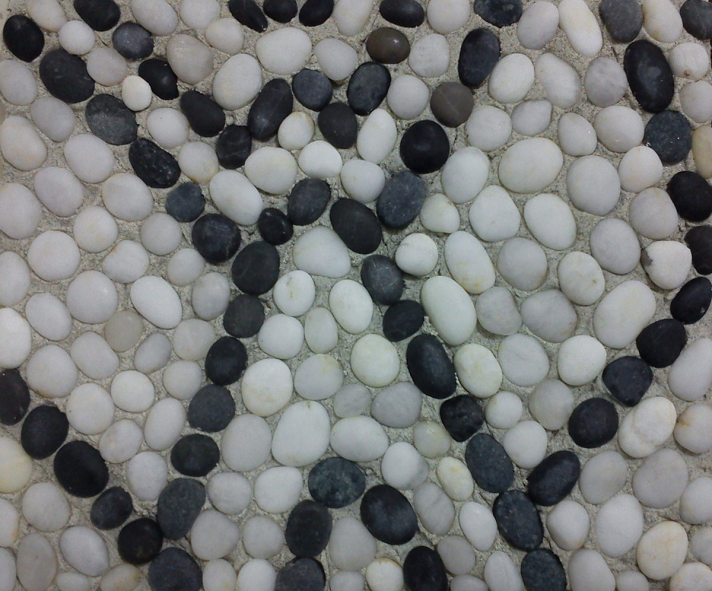 Chrysanthemes, detail, 2015