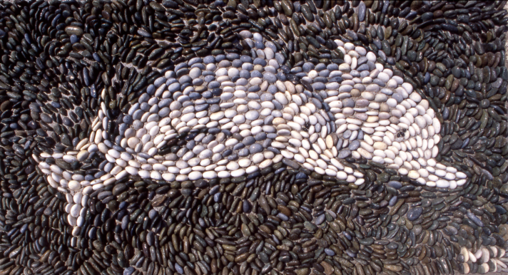 Dolphins, 1999